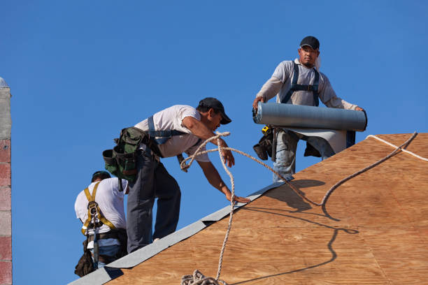 Best Gutter Installation and Roofing  in Concord, VA