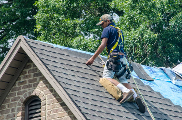 Roof Gutter Cleaning in Concord, VA